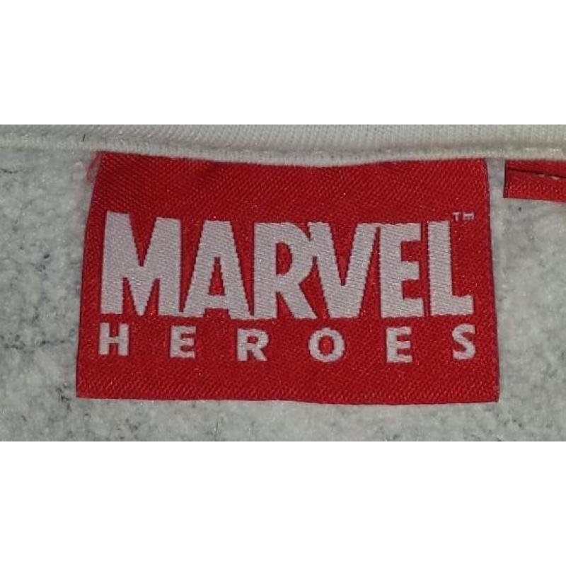 Marvel Heroes hoodie