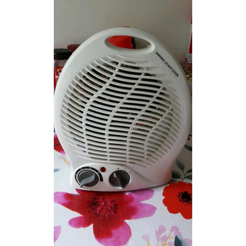 Electric fan heater