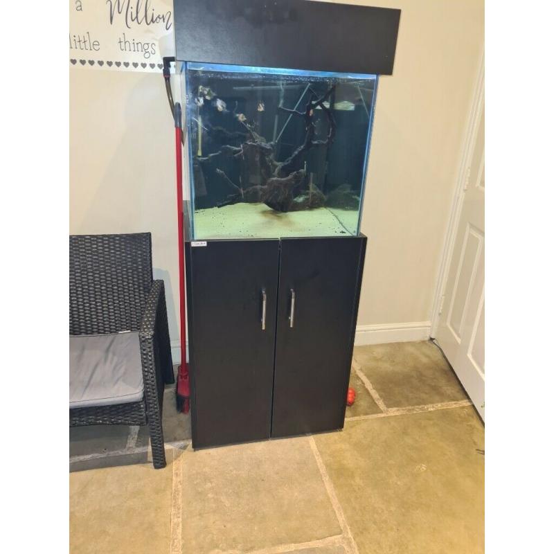 2 foot by 2 foot cube tank