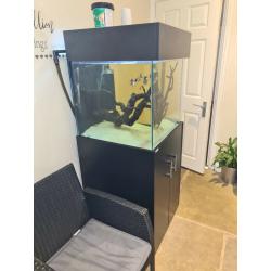 2 foot by 2 foot cube tank