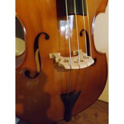 Double Bass 3/4 Andreas Zeller